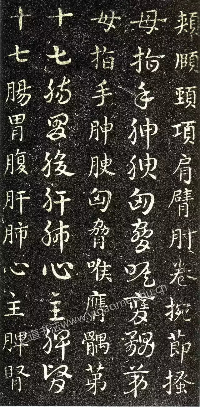 1743769752126580.jpg 1743769752126580.jpg