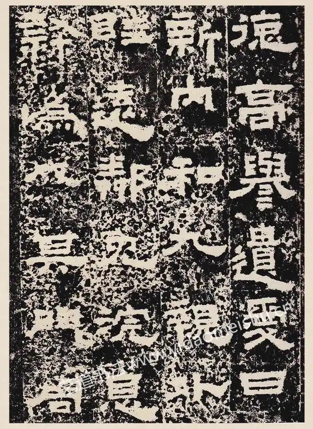 1743767793347211.jpg 1743767793347211.jpg