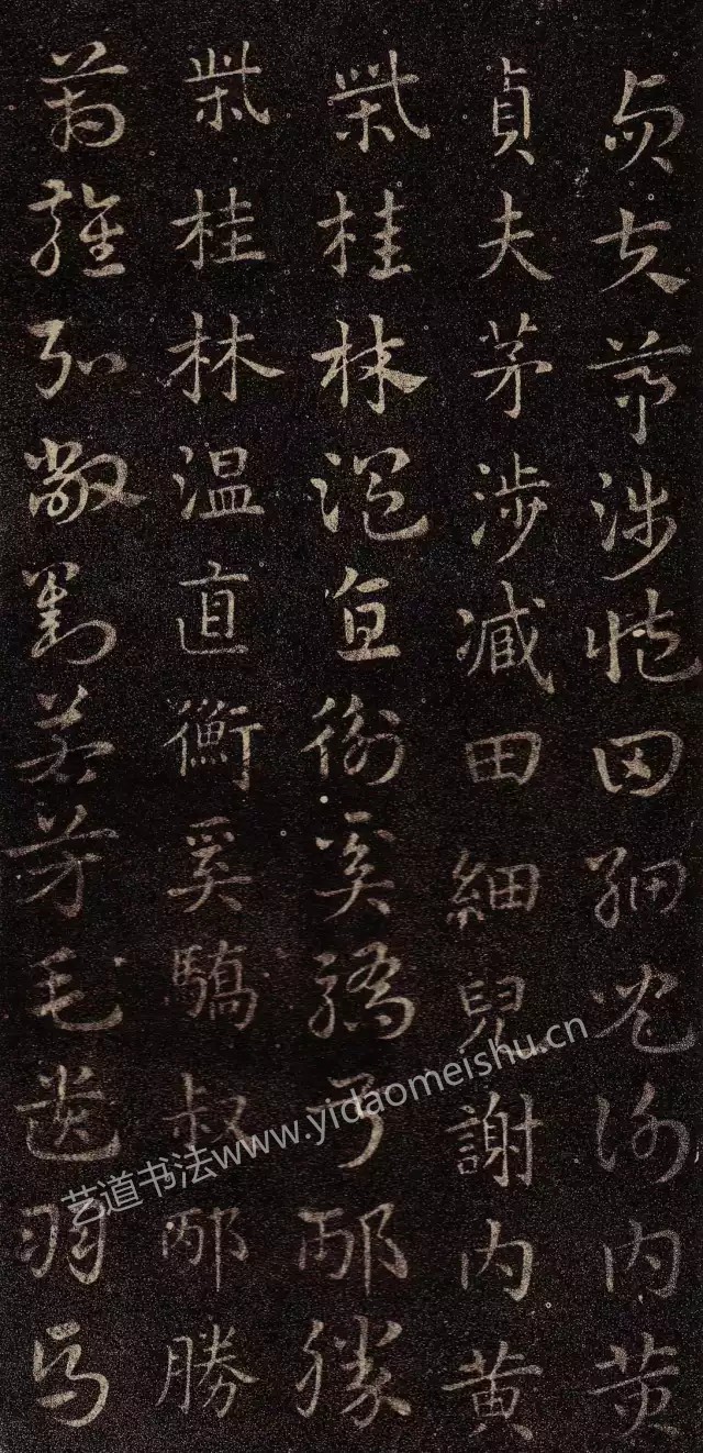 1743769740278737.jpg 1743769740278737.jpg